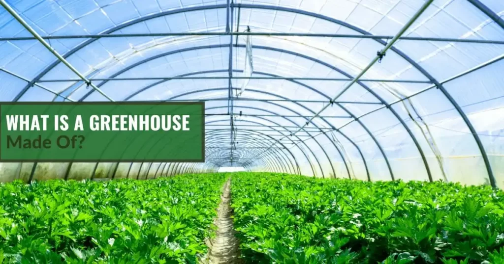 Greenhouses: A Comprehensive Overview