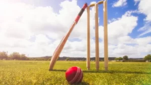 Exploring the World of Cricket
