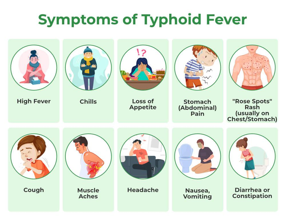 Understanding Typhoid Fever Symptoms, Recovery, and Dietary Guidelines